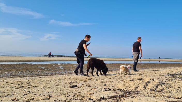 Foto gemaakt door Ilse Kootkar - Den Helder - Maart telde een recordaantal mooi-weerdagen, namelijk 16!