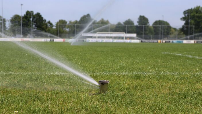 Foto gemaakt door Ab Donker - Buurmalsen - De sensatie van een hittegolf dringt zich de komende dagen steeds duidelijker op. Het wordt heter en heter en in het zuiden kan het later 36 graden worden. 