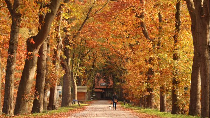 Foto gemaakt door Martin Vye - Steenwijk - Wordt het een vrij koude en droge herfst? 