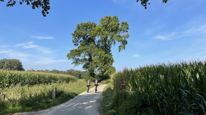 Foto gemaakt door Raymond Hofsté - Raymond Hofsté