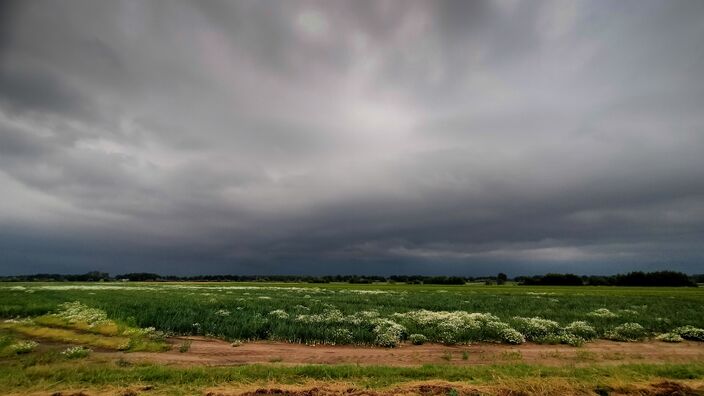 Foto gemaakt door Jos Hebben - Altwerterheide - Een dreigende lucht nadert Altweerterheide. 