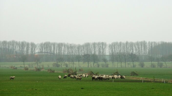 Foto gemaakt door Gerrit Draaisma - Groningen - Na een lange serie met grijze dag, gooit het weer het over een andere boeg. Het wordt wisselvalliger, er komt meer wind, maar we zien ook vaker de zon. 