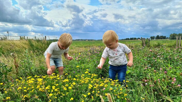 Foto gemaakt door Kees Jak - Midden Beemster - De schoolvakantie verloopt tot nu toe licht wisselvallig.