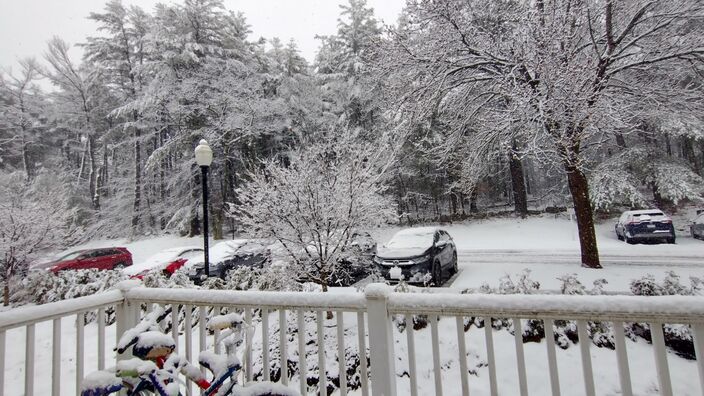 Foto gemaakt door Wikipedia - Lexington (VS) - Sneeuw tijdens een Nor'easter, vorig jaar in het noordoosten van de VS,