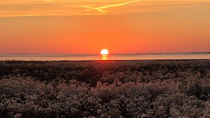 Foto gemaakt door Tonny de Vries - Delfzijl - Ochtendrood, water in de sloot?