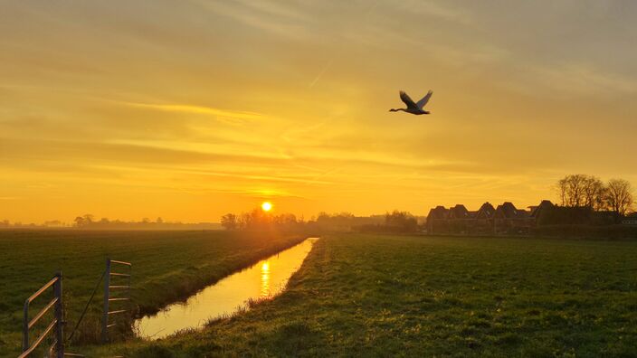 Foto gemaakt door Dilia van Zon - De Vlist