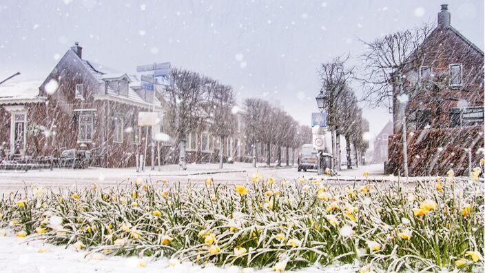 Foto gemaakt door Marinus de Keijzer - Rhenoy - Een beeld wat vroeger in april heel gewoon was, zagen we dit jaar voor het eerst in jaren weer. Aprilse grillen!