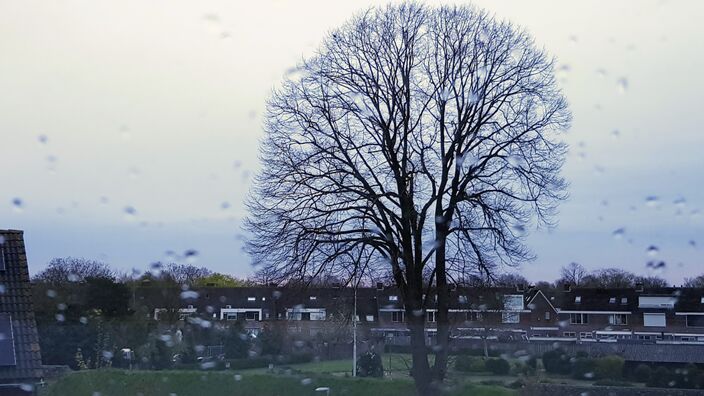 Foto gemaakt door Theo van Dalen - Putten - Het regent de komende tijd weer vaker in Nederland en we krijgen sterk wisselende temperaturen. Morgen en zaterdag kan het lokaal 20 graden worden, daarna wordt het veel kouder.  