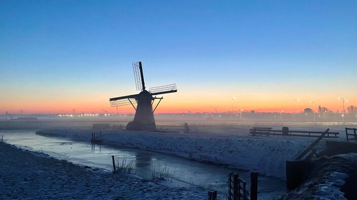 Foto gemaakt door Dieneke Slaat  - Voorhout