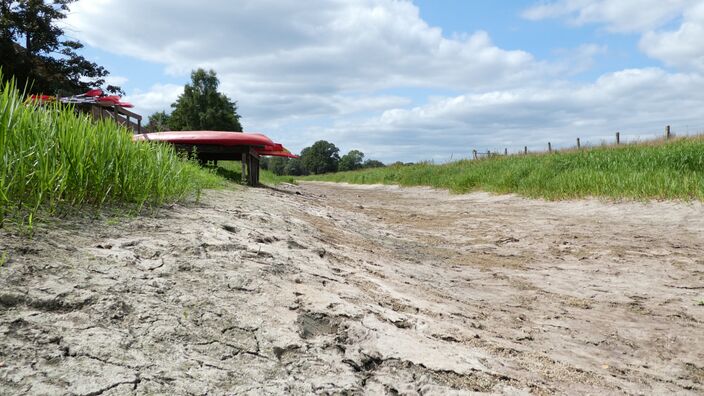 Foto gemaakt door Willy Bonnink - Door het extreem droge weer zijn sommige sloten drooggevallen. 