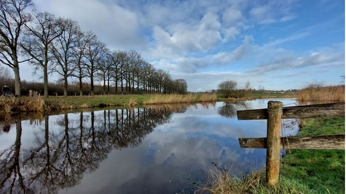 Foto gemaakt door Jolanda Pelkmans - Gilze - Het lek van de winterverwachting is boven. De kiem voor de foute verwachting is al vroeg gelegd. En we hádden het kunnen zien. Dat is goed voor de wetenschap.