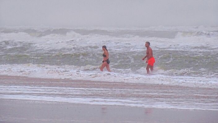 Foto gemaakt door Sjef Kenniphaas - Egmond aan Zee - Zaterdag kan het in het zuiden van het land plaatselijk 18 graden. Alle voor december geldende warmterecords komen dan aan het wankelen. 