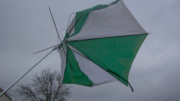 Foto gemaakt door Ab Donker - Buurmalsen - Er is vandaag de hele dag veel wind. 