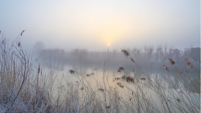 Foto gemaakt door Ab Donker - Buurmalsen - Vannacht en morgenvroeg op diverse plekken weer mist