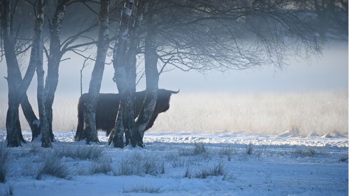 Foto gemaakt door Arjan Pat - Hooghalen