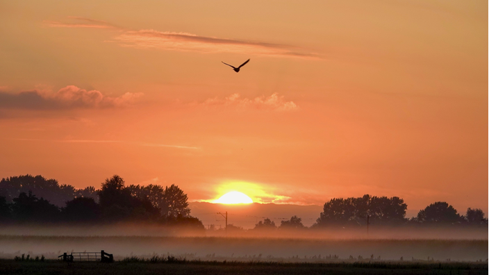 Foto gemaakt door Fas Vermeulen  - Leerdam - De dag begint met laaghangende mist 