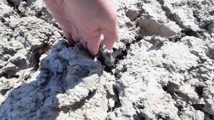 Foto gemaakt door Jannes Wiersema - Roodeschool - Grote delen van Zweden, Noorwegen en Denemarken worden door extreme droogte getroffen. Ook in Nederland wordt het snel droger.  