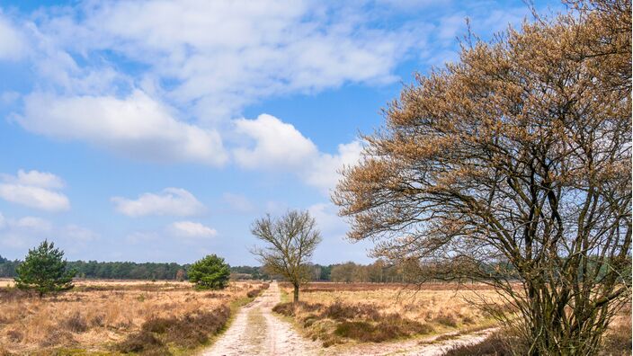 Foto gemaakt door Jos Hebben - Altweerterheide - De eerste warme dag van 2023 met 20 graden of meer laat nog even op zich wachten