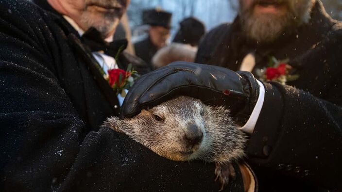 Foto gemaakt door Barry Reeger - AP Photo - Groundhog Day - Bosmarmot Phil is de belangrijkste spreker op Groundhog Day