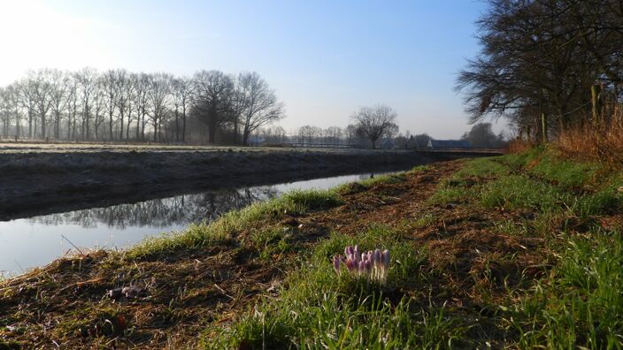 Foto gemaakt door Ankie Grijsen - Bredevoort - Het water is zo glad als een spiegel. Ook vandaag staat er maar weinig wind.