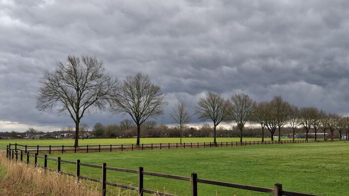 Foto gemaakt door Jolanda Pelkmans - Chaam - Vandaag hadden we te maken met grijs weer Foto gemaakt door Jolanda Pelkmans - Chaam - Vandaag hadden we te maken met grijs weer