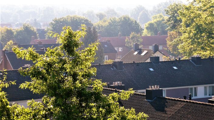 Foto gemaakt door Martha Kivits - Waalwijk - Hoge temperaturen en veel zon; de warmte krijg je maar moeilijk uit je huis.