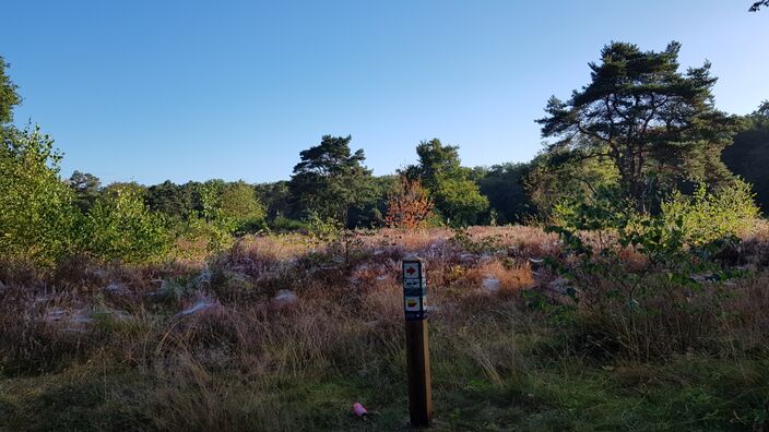 Foto gemaakt door Theo van Dalen - Putten - Na een extreem zonnige lente was het ook in de zomer van 2022 buitengewoon zonnig