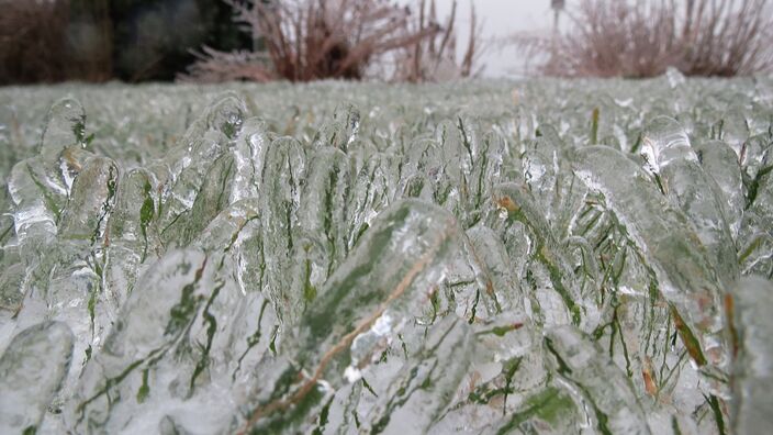 Foto gemaakt door Jannes Wiersema - Roodeschool.  - De ijzel van begin januari 2016 in het noordoosten leverde bijzondere plaatjes op, zoals hier in Roodeschool.  