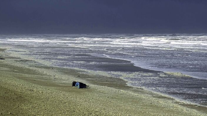 Foto gemaakt door Sjef Kenniphaas - Egmond aan Zee