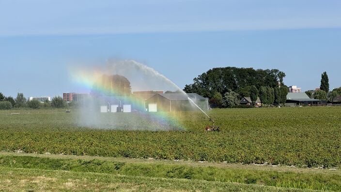 Foto gemaakt door Jolanda Bakker - Kruisweg - Door de warmte en zon moesten boeren flink sproeien in augustus