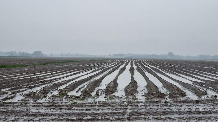 Foto gemaakt door Jannes Wiersema - Roodeschool - De vele regen leidt op het land tot steeds meer problemen. De boeren hebben bij hun voorjaarswerk flinke achterstanden opgelopen. En het is nog niet voorbij. 