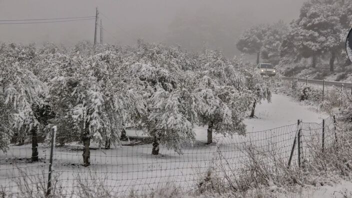 Foto gemaakt door Twitter: CarpeDiemSpanje - Spanje - Filomena brengt een groot deel van Spanje winterweer