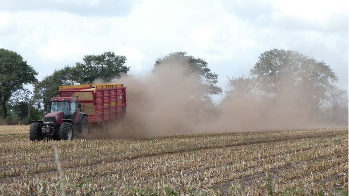 Foto gemaakt door Willy Bonnink  - Winterswijk - Door de extreme droogte wordt de mais ruim een maand eerder dan normaal gehakseld. 