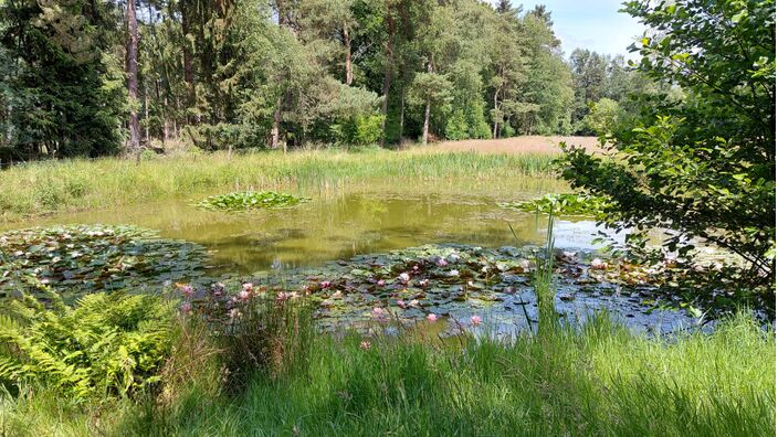 Foto gemaakt door Paulie Renshof - Losser (Twente, Overijssel) - Ook in het oosten van het land is sinds vandaag sprake van een regionale hittegolf.