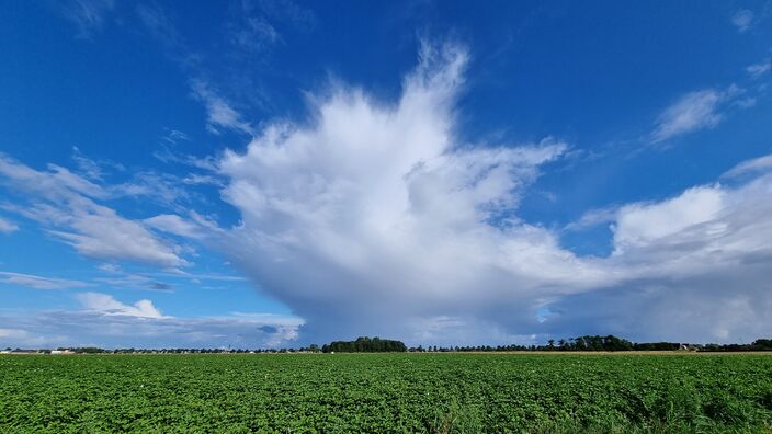 Foto gemaakt door Jannes Wiersema - Roodeschool - Waar is het deze zomer fout gegaan? En wat betekent dat voor het vervolg in de augustusmaand? We duiken nog een keer in de zomerverwachting.