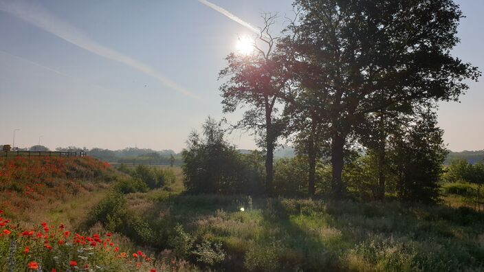 Foto gemaakt door Emiel Wiegerinck - Beltrum - Een zonnige start in Beltrum. 