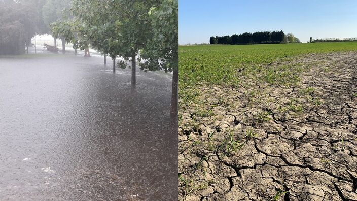 Foto gemaakt door Ans Prinsen & Erica van Leeuwen  - In 2020 was zowel sprake van wateroverlast als droogte