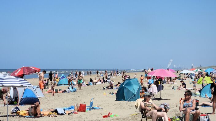 Foto gemaakt door Aad Hogenboom - Roelofarendsveen - Een gang naar het strand is deze week geen overbodige luxe. 