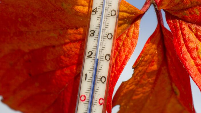 Foto gemaakt door Ab Donker - Buurmalsen - Terwijl we komende maandag november op de kalender zien staan, kan de temperatuur stijgen tot 20 graden. Het 22e warmterecord van 2020.