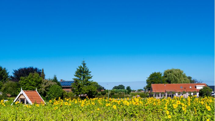 Foto gemaakt door Jos Hebben - Weert - De zomer is terug in Nederland en schiet, na weer een paar licht wisselvallige dagen vanaf morgen, later volgende week mogelijk in de hoogste versnelling. 