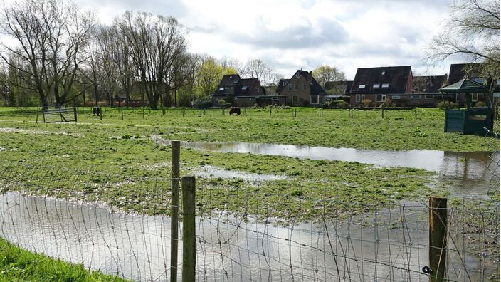 Foto gemaakt door Gerrit  Draaisma  - Groningen - Na een kletsnatte februarimaand, viel in maart nauwelijks regen. Nu zijn de plassen terug, maar voor de natuur is het perfect nu het groeiseizoen is begonnen.
