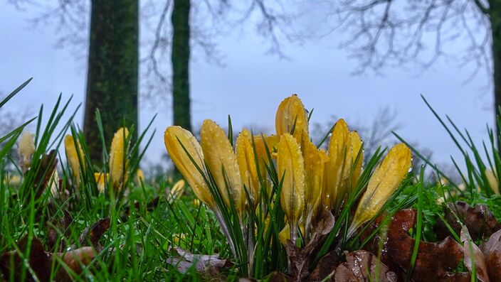 Foto gemaakt door Fas Vermeulen - Leerdam Foto gemaakt door Fas Vermeulen - Leerdam