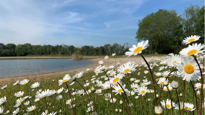 Foto gemaakt door Erica van Leeuwen - de Bruijn - Zelhem (2020) - Flink wat zon, relatief warm en prachtige bloemen. Maar het blijft niet overal droog...