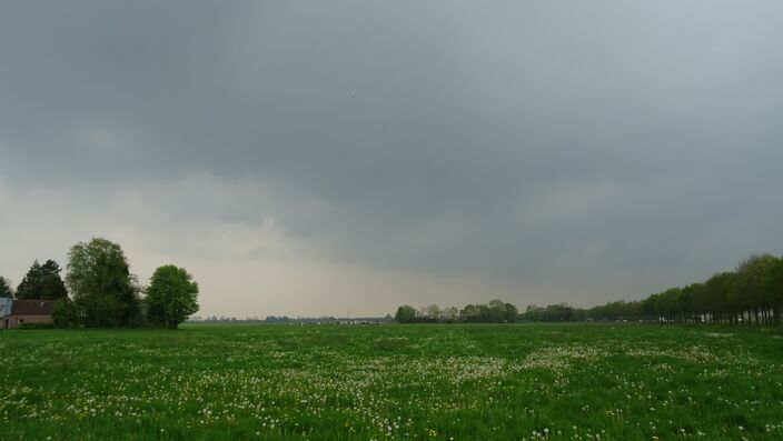 Foto gemaakt door Albert Thibaudier - Oldeholtwolde - Een storing, die vandaag vanuit het westen over het land trekt, brengt veel regen. Vanaf morgen is het weer de beurt aan buien. het blijft wel vrij warm. 