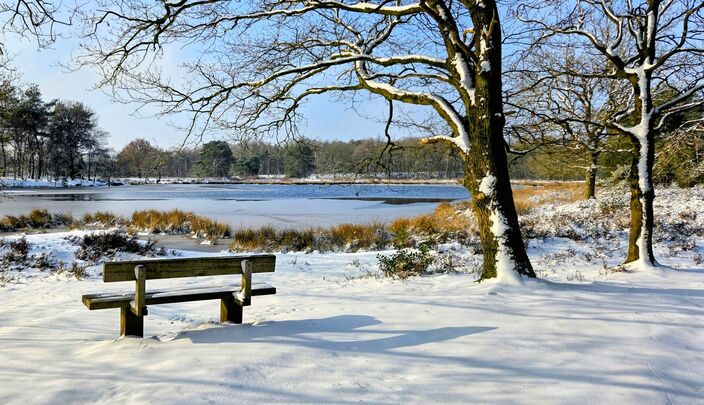 Foto gemaakt door Theranta Hummel - Makkumerplas - Winterse perikelen in het noorden van Nederland