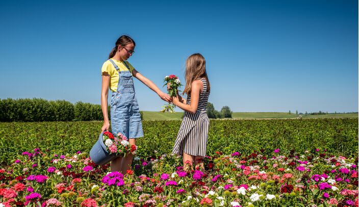 Foto gemaakt door Ria Overbeeke  - Waarde 