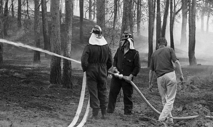 Bron: Nationaal Archief. Bosbrand bij t Harde op de Veluwe in 1970. Bron: Nationaal Archief. Bosbrand bij t Harde op de Veluwe in 1970.