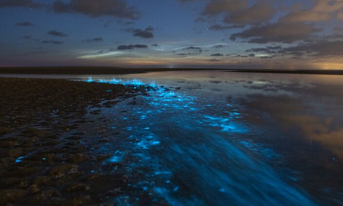 Foto gemaakt door Corne Ouwehand - Katwijk - Roeren, plonzen, spetteren: als het water in beweging komt zie je het plotseling felblauw oplichten.