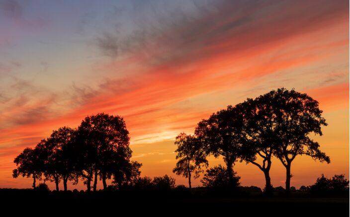 Foto gemaakt door Hans Buls - Sleen, Drenthe - Zonsondergang. Vandaag om 20.00 uur, over een week een kwartier eerder
