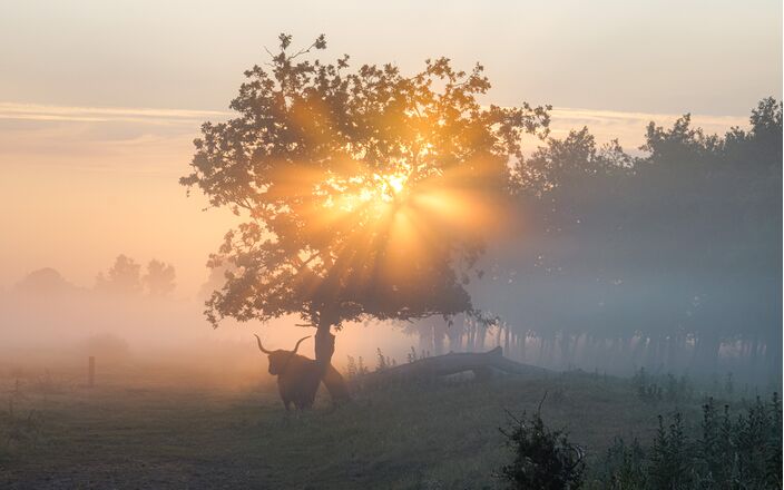 Foto gemaakt door Dirk van Egmond - Wassenaar - Er komt geleidelijk weer wat meer vocht in de lucht.